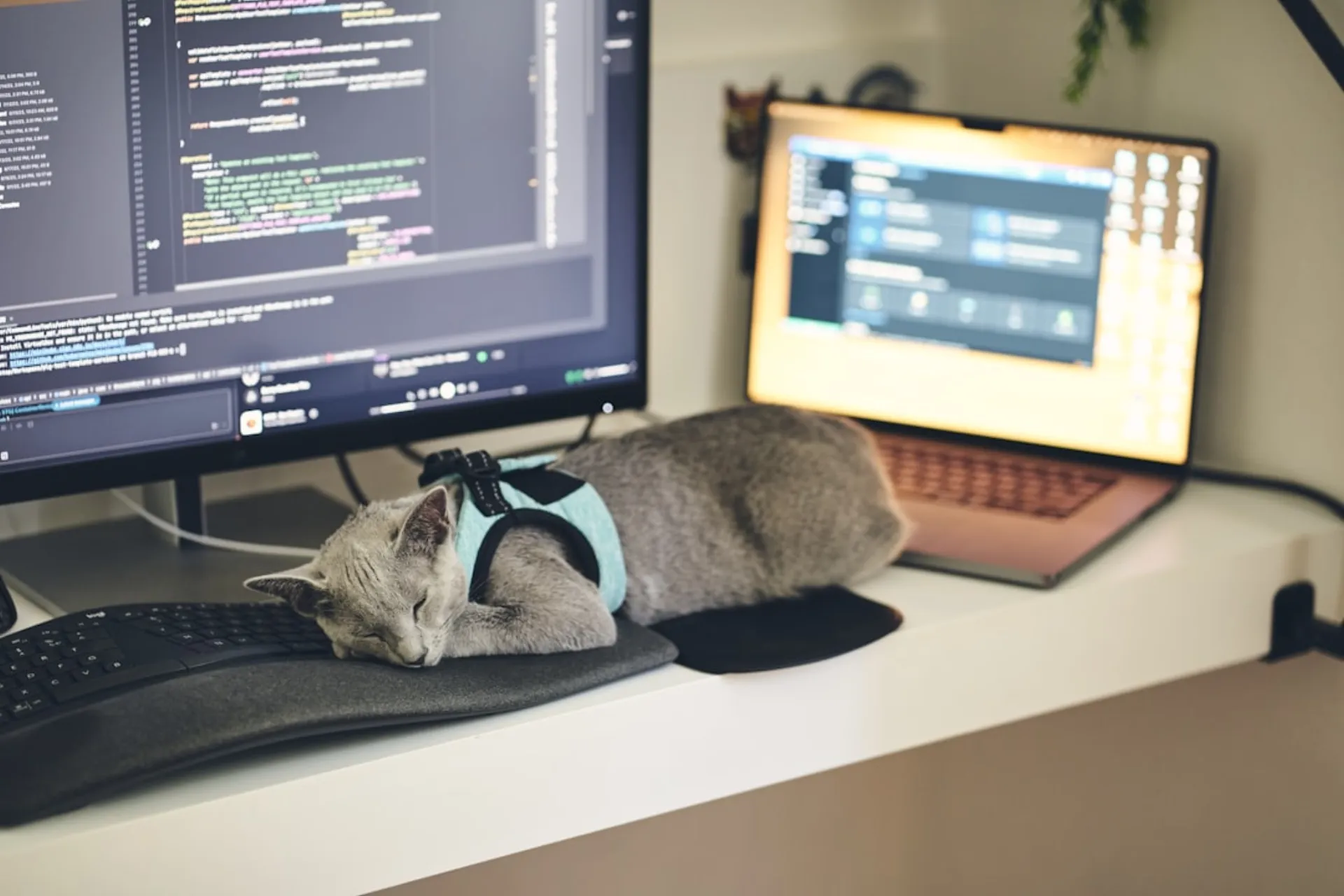 AI Copilot Development | Custom AI Assistants | ZTABS